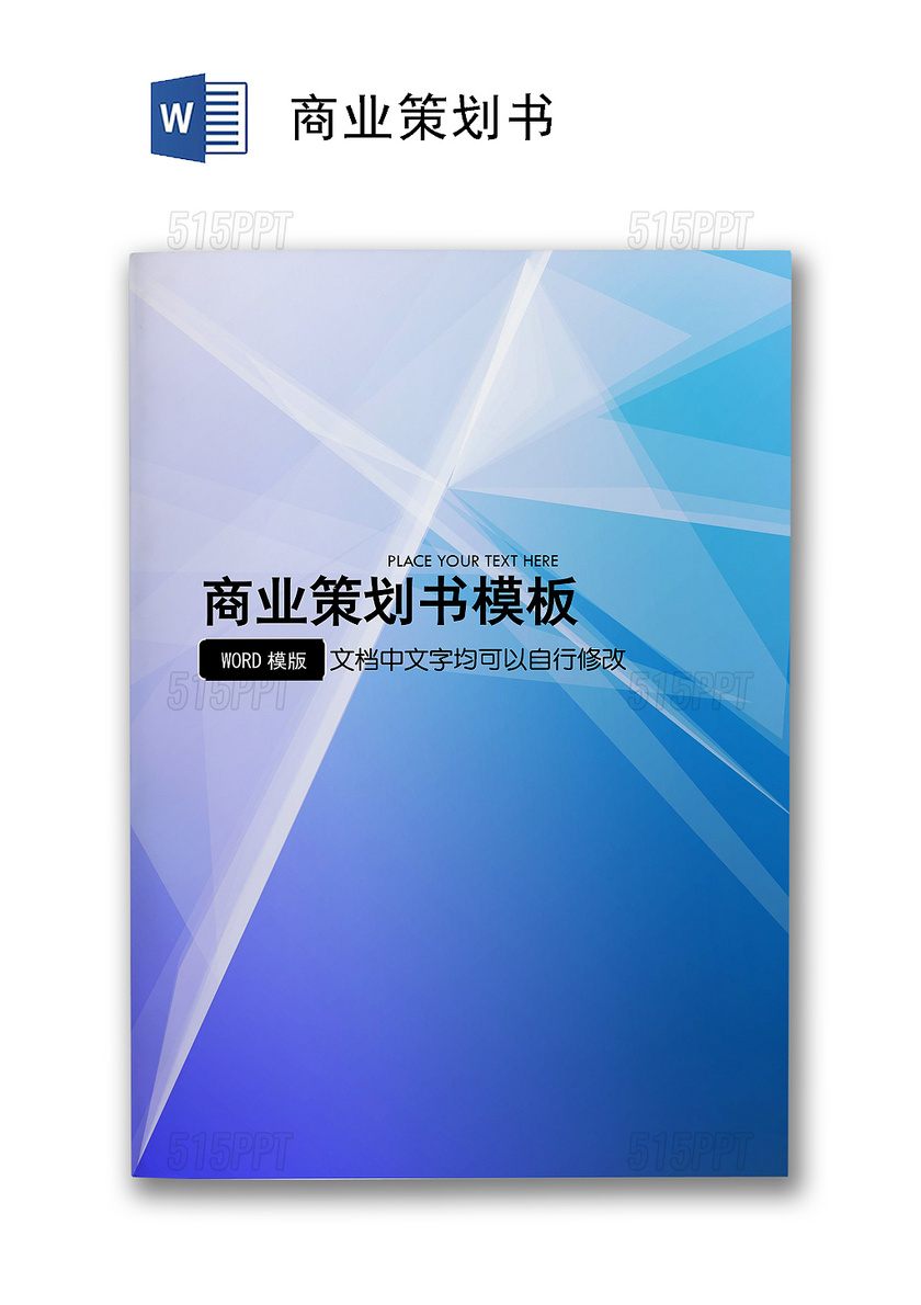 商業計劃書商業策劃書word模板